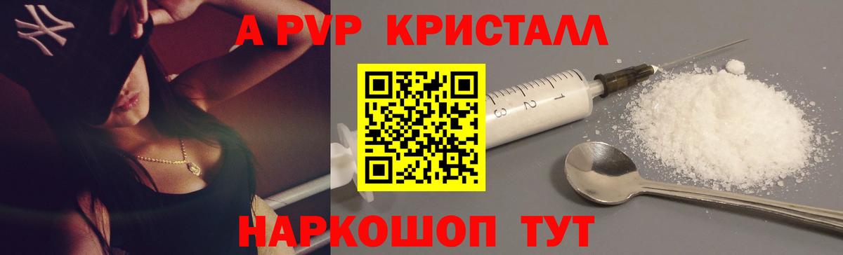 A-PVP СК Мурманск