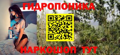 кокс Гай