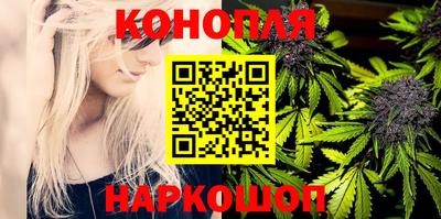 кокс Гай