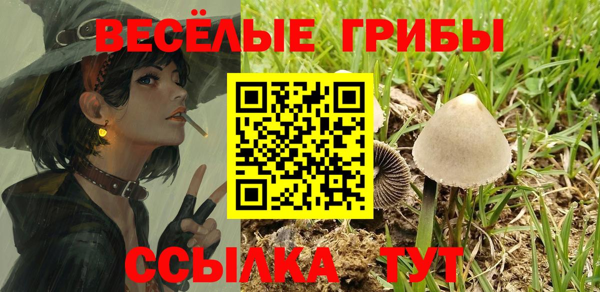 Галлюциногенные грибы Psilocybe  Галлюциногенные грибы MAGIC MUSHROOMS  Мурманск  Вход с VPN 